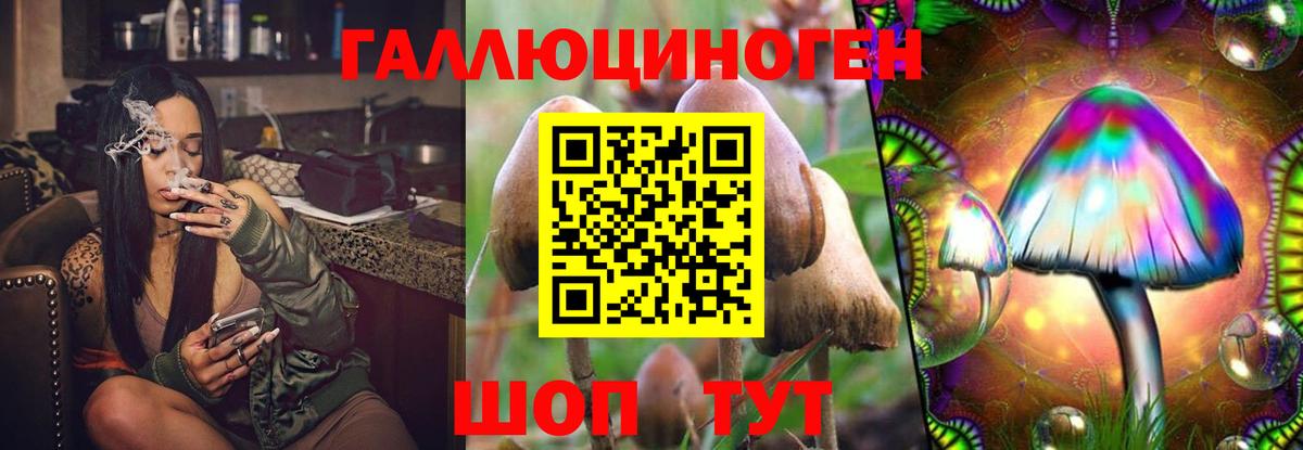 Галлюциногенные грибы MAGIC MUSHROOMS  Псилоцибиновые грибы ЛСД  Вход с VPN  Бийск 